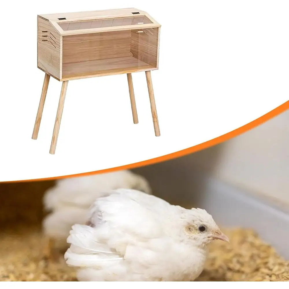 Chicken Brooder Box With Clear Acrylic Panels For Quails Hamsters Birds Ducks