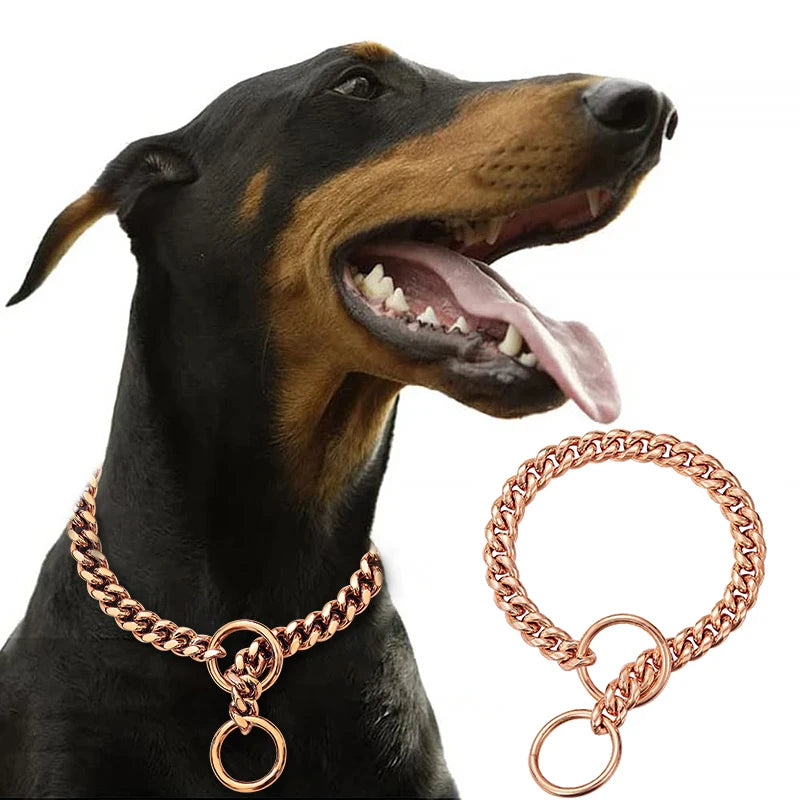Livepetsme Stainless Steel Chain Collar for Dogs Training and Walking