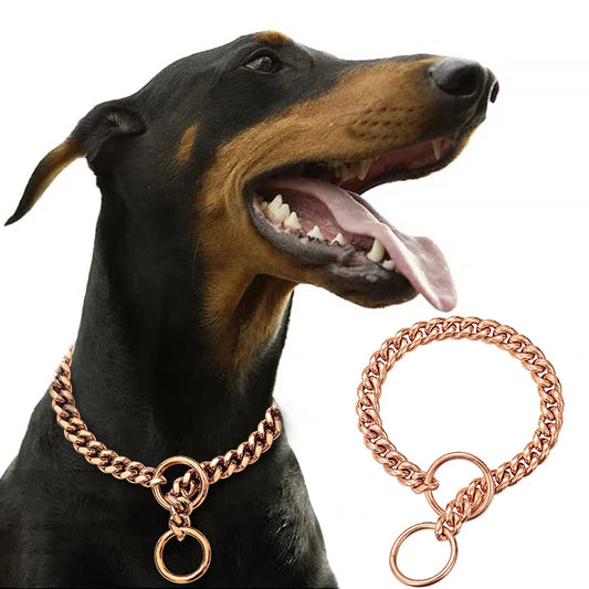 Livepetsme Stainless Steel Chain Collar for Dogs Training and Walking