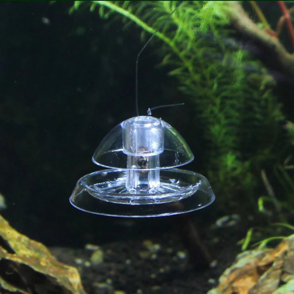 Clear Snail Trap Catcher For Aquarium Planaria Pest Control