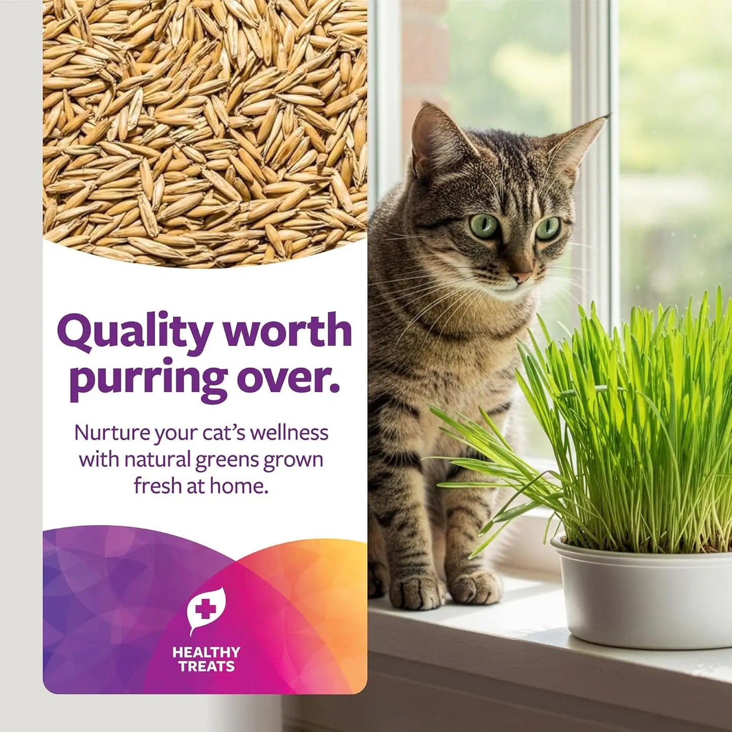 Organic Oat Grass Cat Grow Kit For Digestion And Hairball