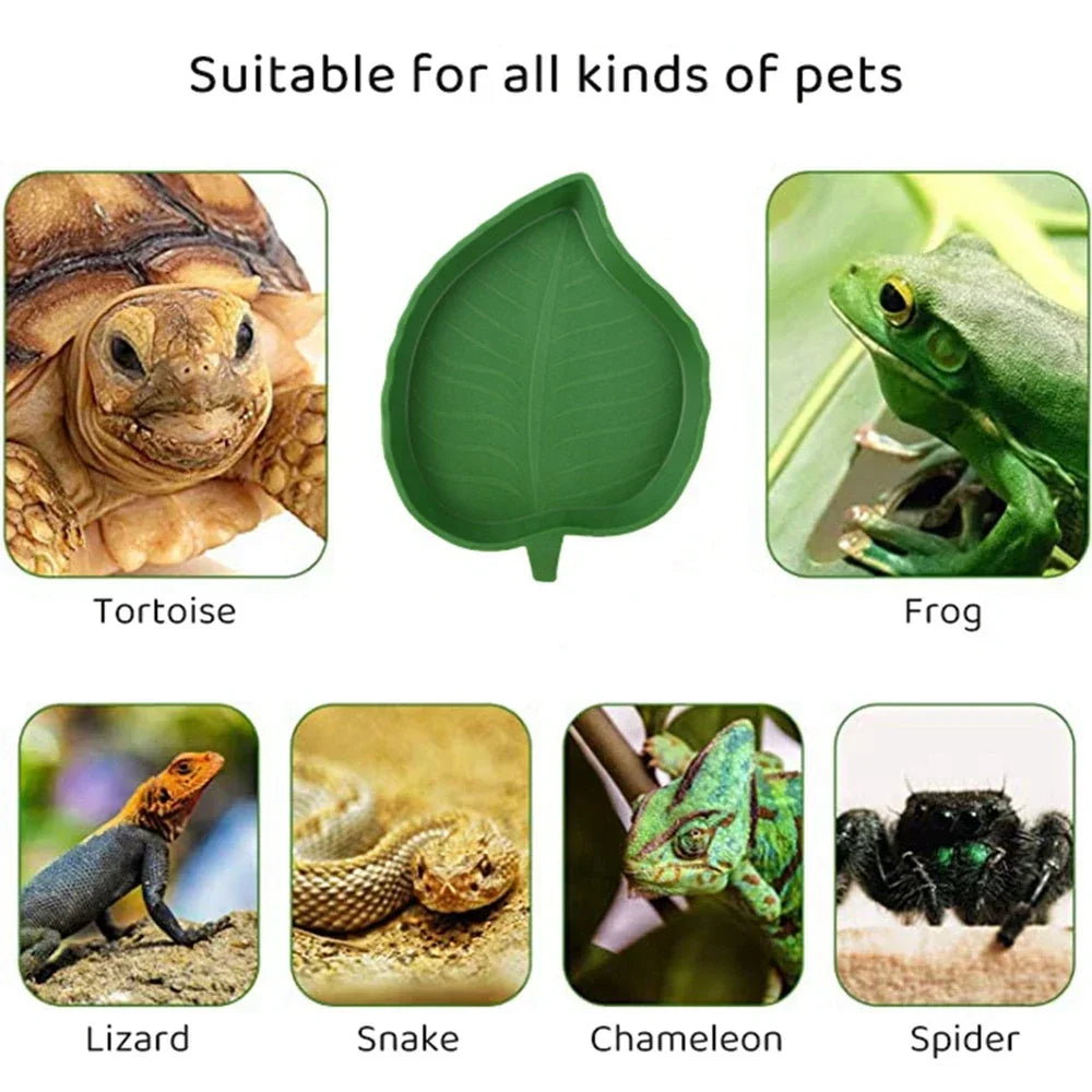 Leaf Shape Reptile Feeder Water Bowl For Turtle Lizard Hamster Pets