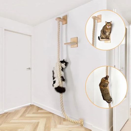 PETRAVEL Cat Climbing Shelf and Rope Tree Wall Mounted Post