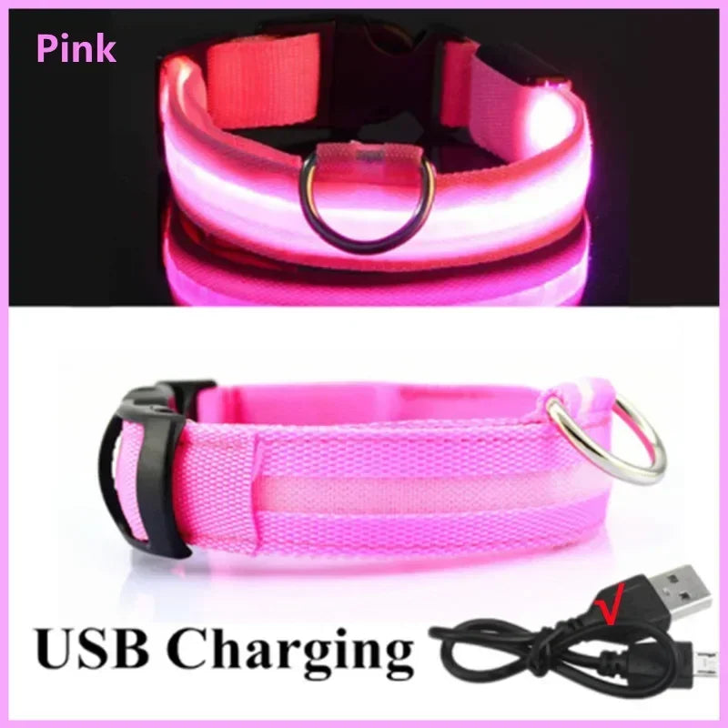 COOYOMOO 3 Mode USB LED Dog Collar With Night Glow