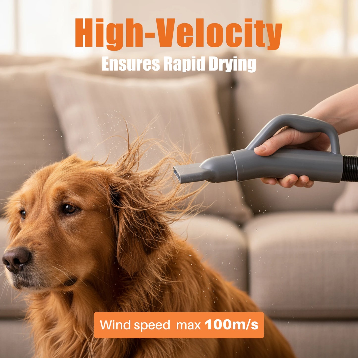 5-Piece Pet Blow Dryer Grooming Vacuum Kit With Nozzles