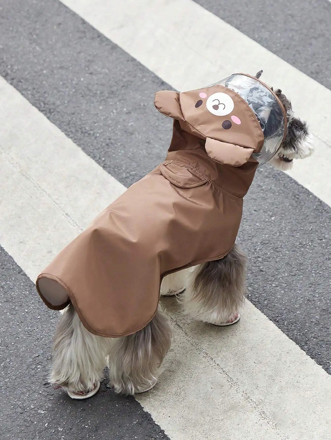 PETSIN Hooded Pet Raincoat Waterproof Cartoon Bear Design