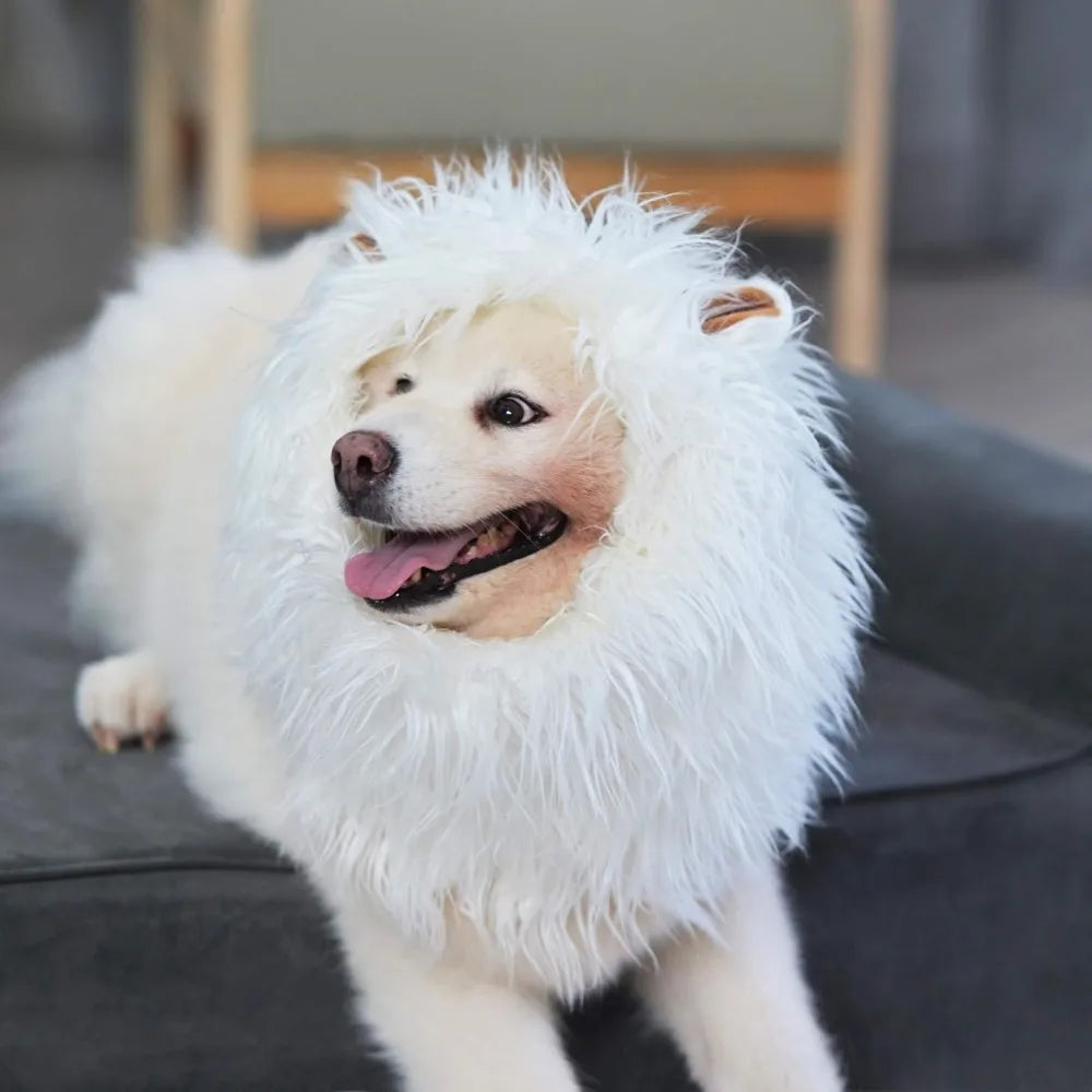 Onmygogo Lion Mane Wig For Dogs Halloween Christmas Costume