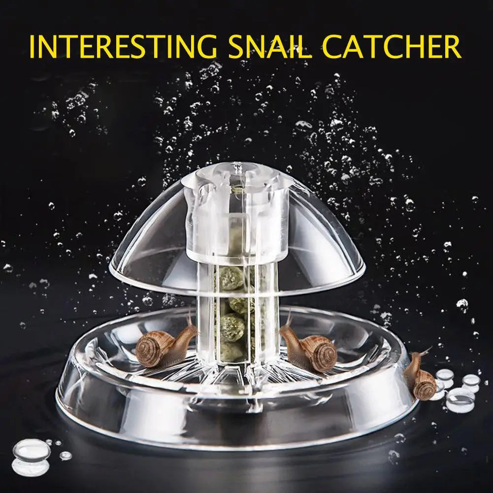 Clear Snail Trap Catcher For Aquarium Planaria Pest Control