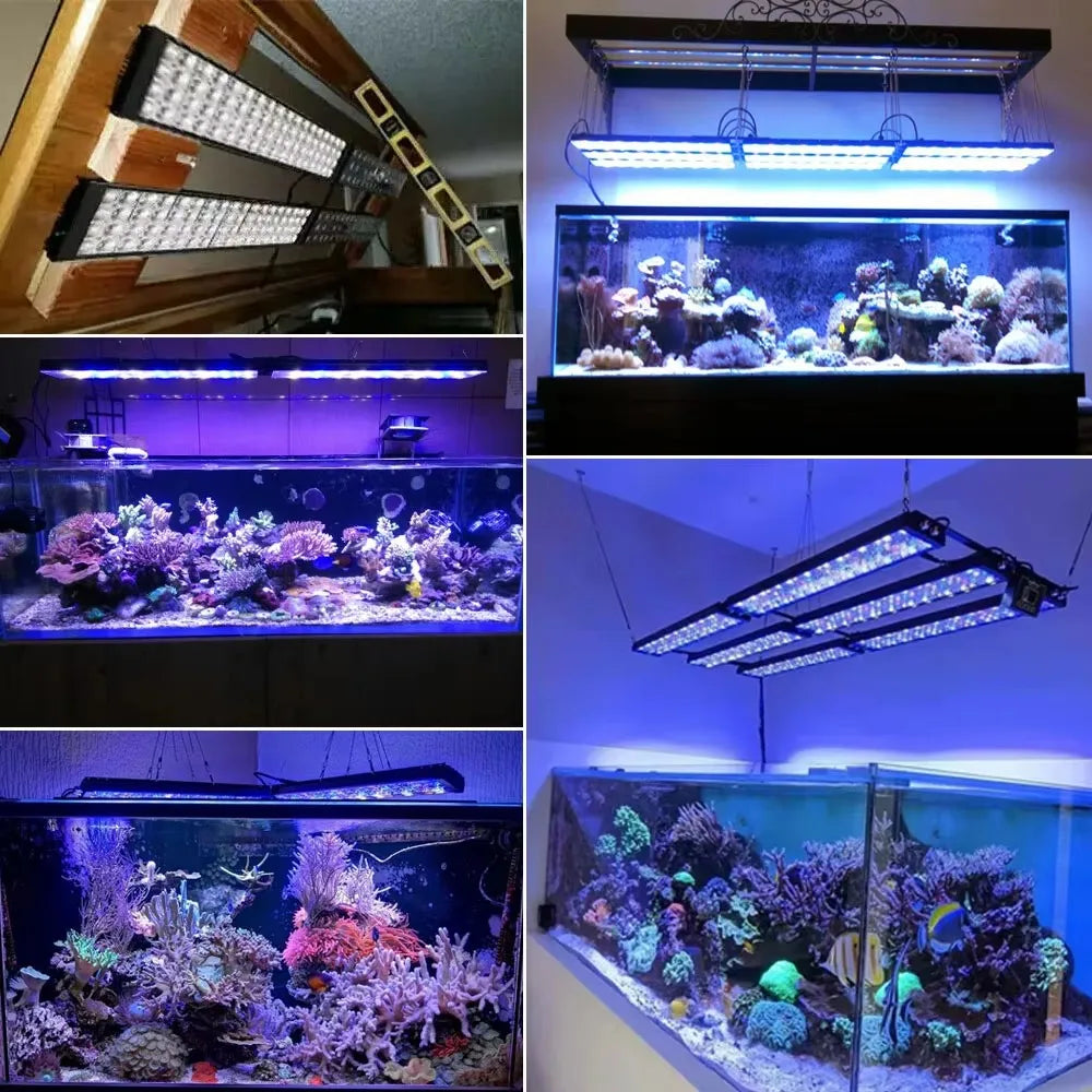 PopBloom WiFi LED Aquarium Light Full Spectrum Marine Lamp For Reef Corals