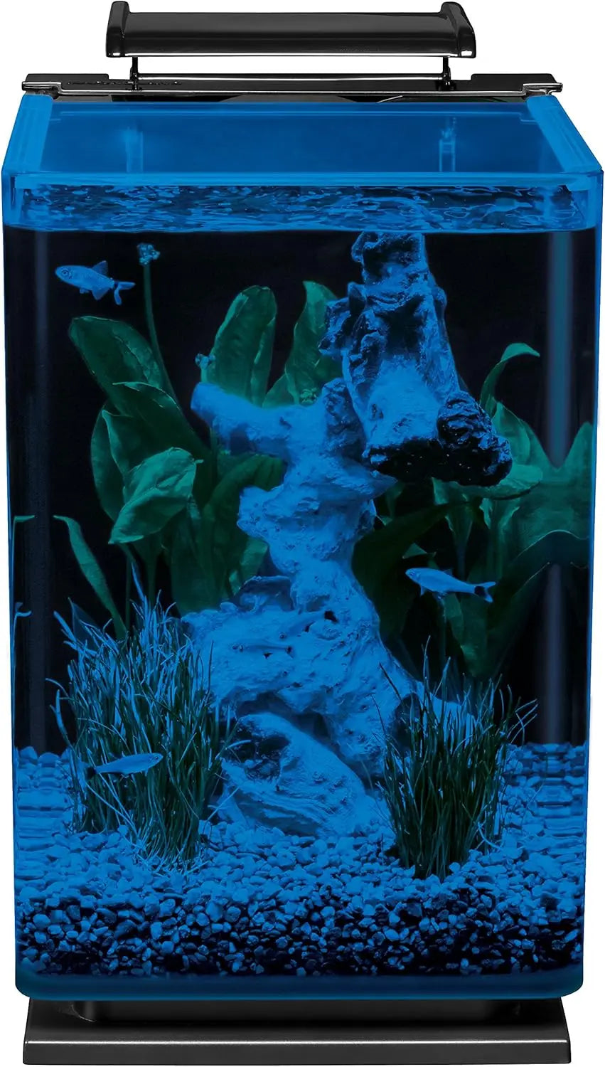 Glass LED Aquarium Kit With Hidden Filtration And Dual Lighting