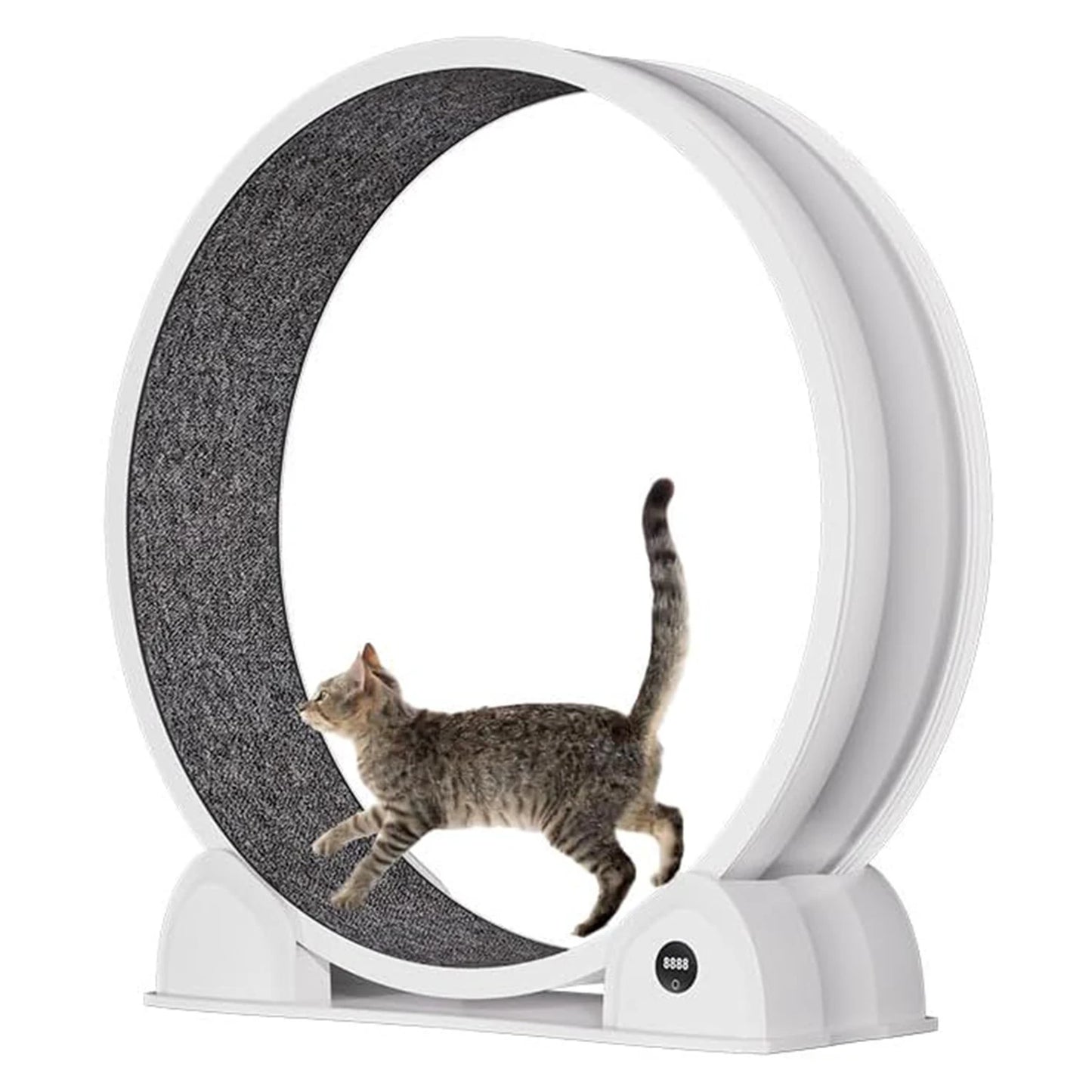 HiMISS Cat Exercise Wheel for Indoor Cats ABS Exerciser Pedometer