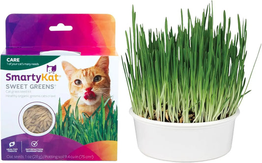Organic Oat Grass Cat Grow Kit For Digestion And Hairball