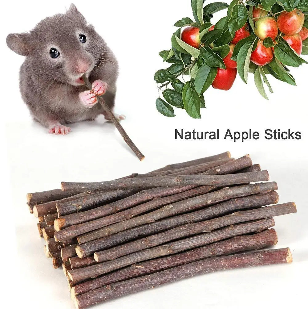 Natural Apple Branch Rabbit Chew Sticks For Small Pets