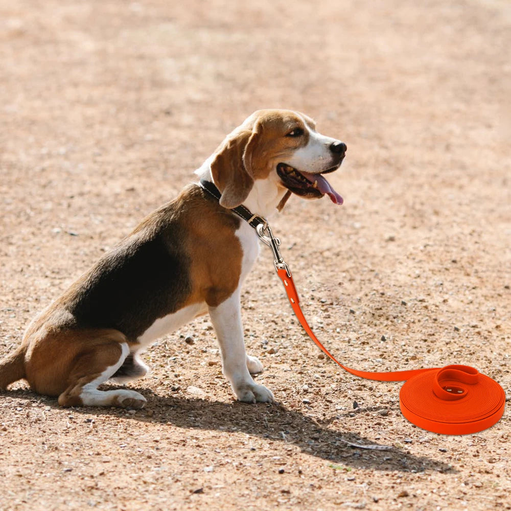Livepetsme Waterproof Dog Leash For Small To Large Dogs