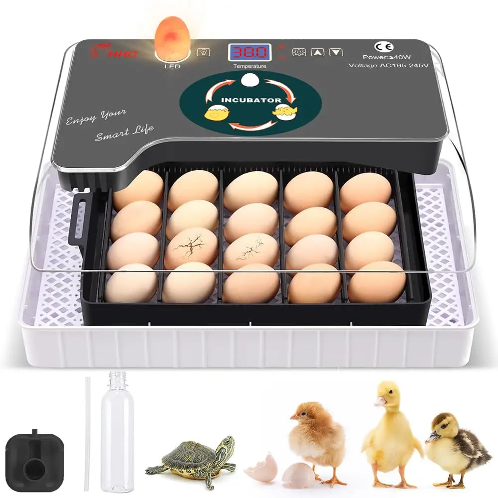 12 Egg Incubator With Turner And Temperature Control And Candler