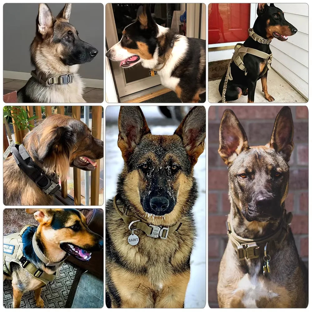 Nylon Dog Harness And Collar Set, Adjustable Tactical Vest For Outdoor Walking