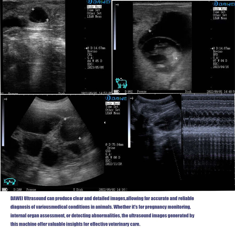 DAWEI Portable Veterinary Ultrasound Scanner for Farm Animals and Pregnancy