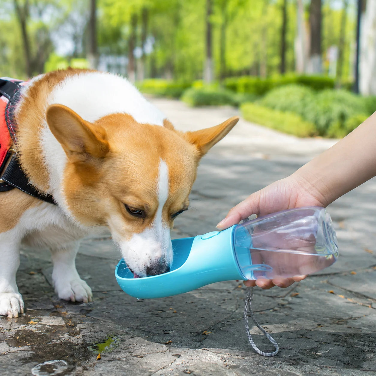Portable Dog Water Bottle With Food Container Travel Dispenser