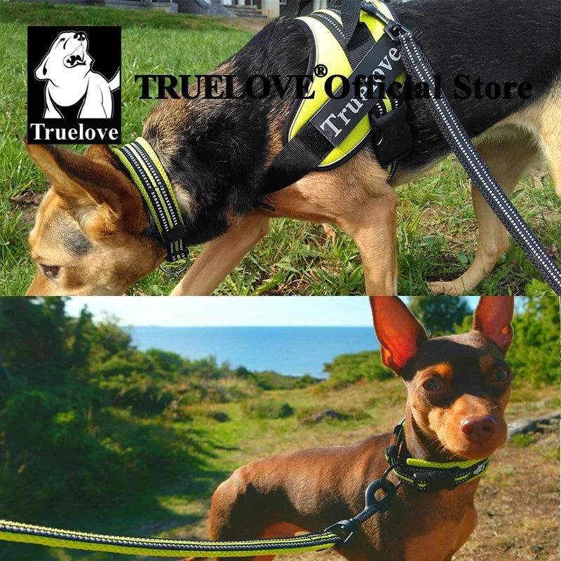 TRUELOVE Padded Reflective Nylon Dog Collar TLC5011 Adjustable Heavy Duty