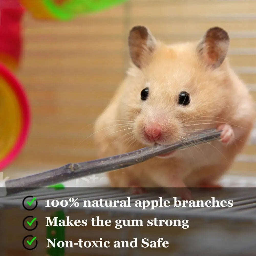 Natural Apple Branch Rabbit Chew Sticks For Small Pets
