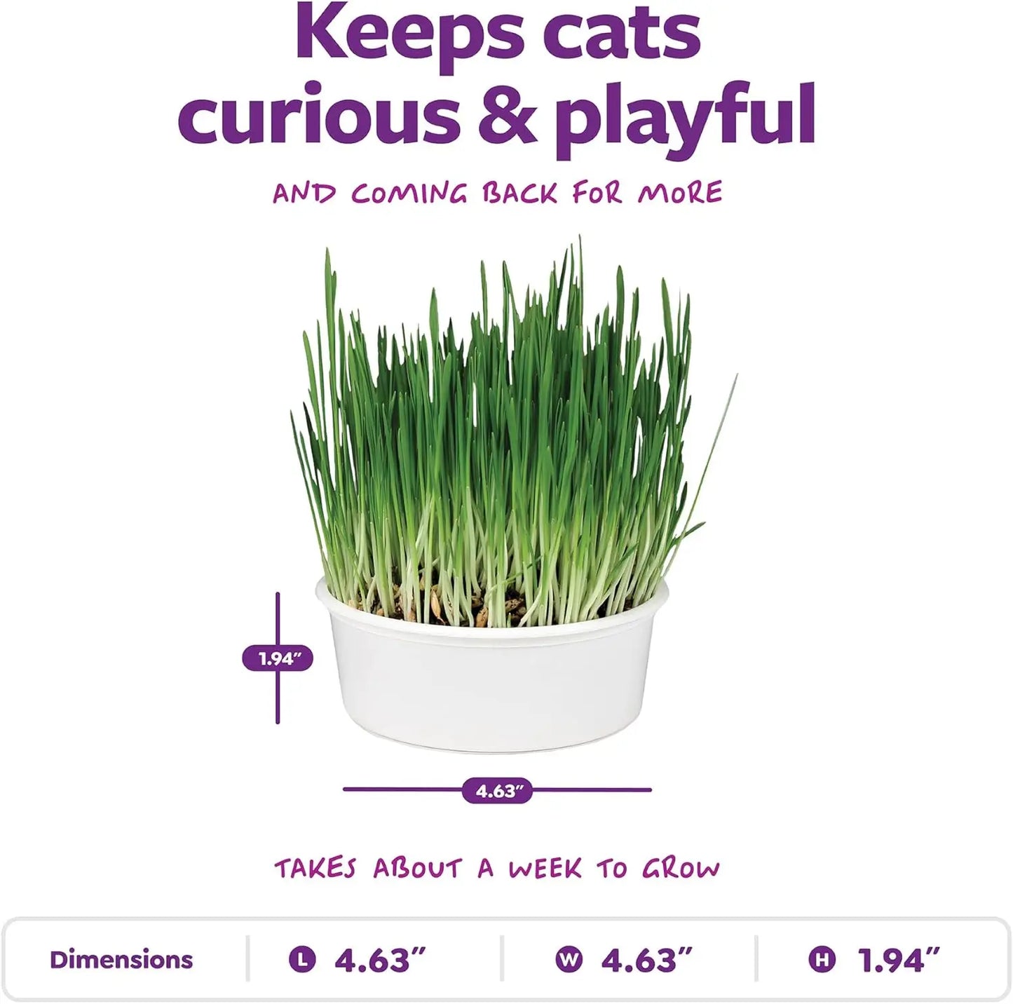 Organic Oat Grass Cat Grow Kit For Digestion And Hairball