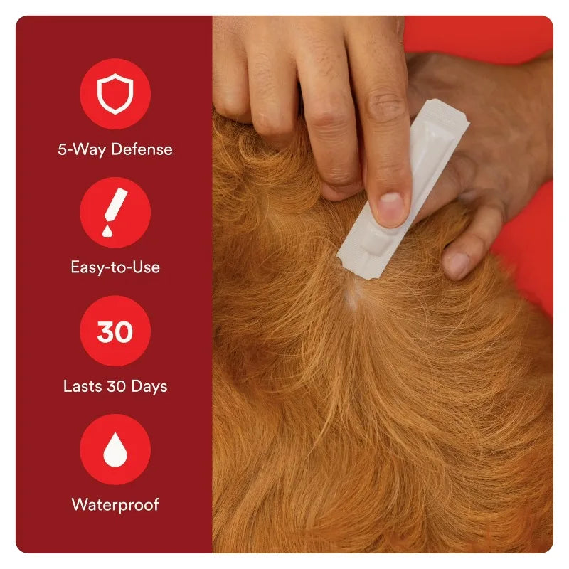 Flea And Tick Prevention For Dogs Waterproof Topical Drops 2 Month Supply