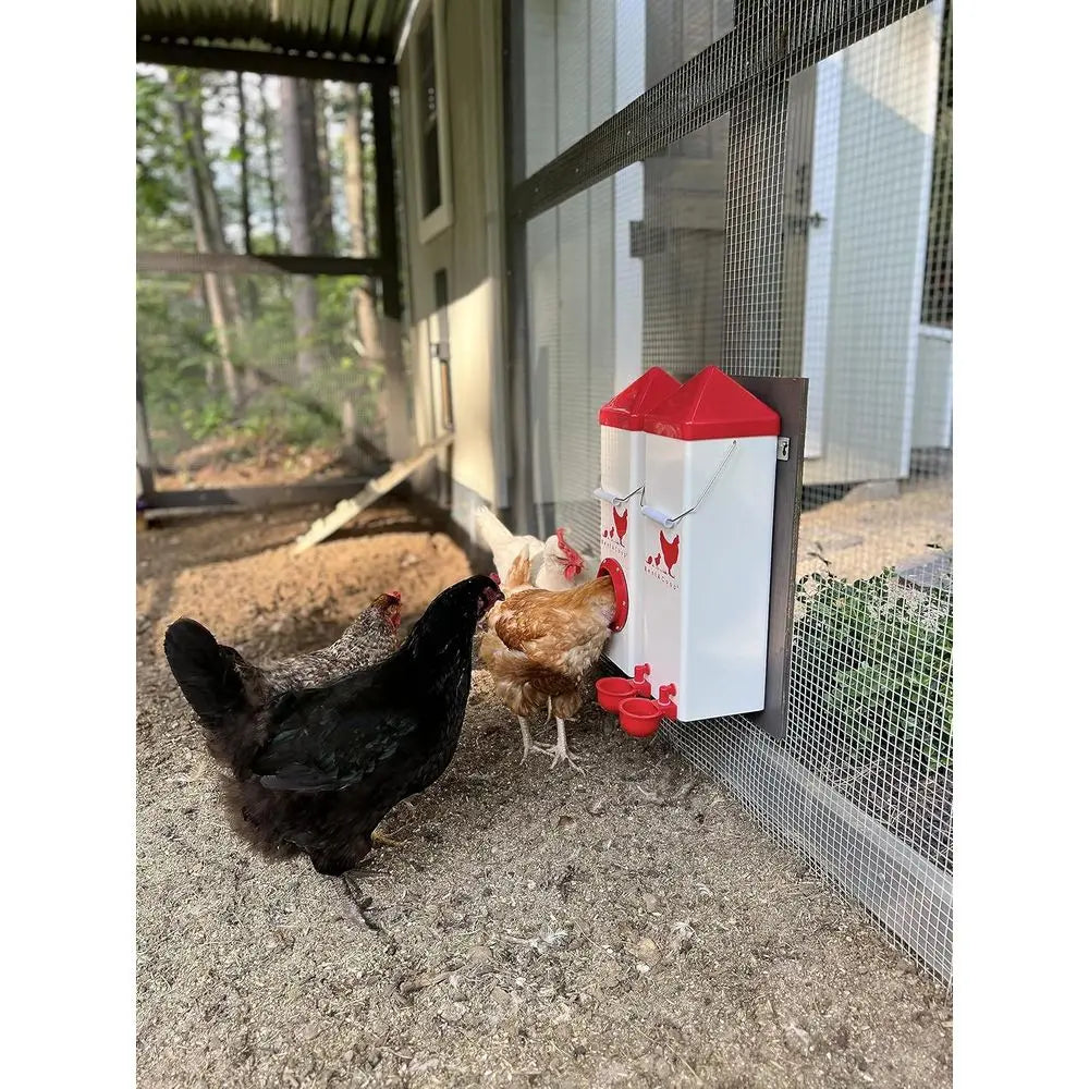 Twin Cup Chicken Waterer and Feeder Set for Coop Farms