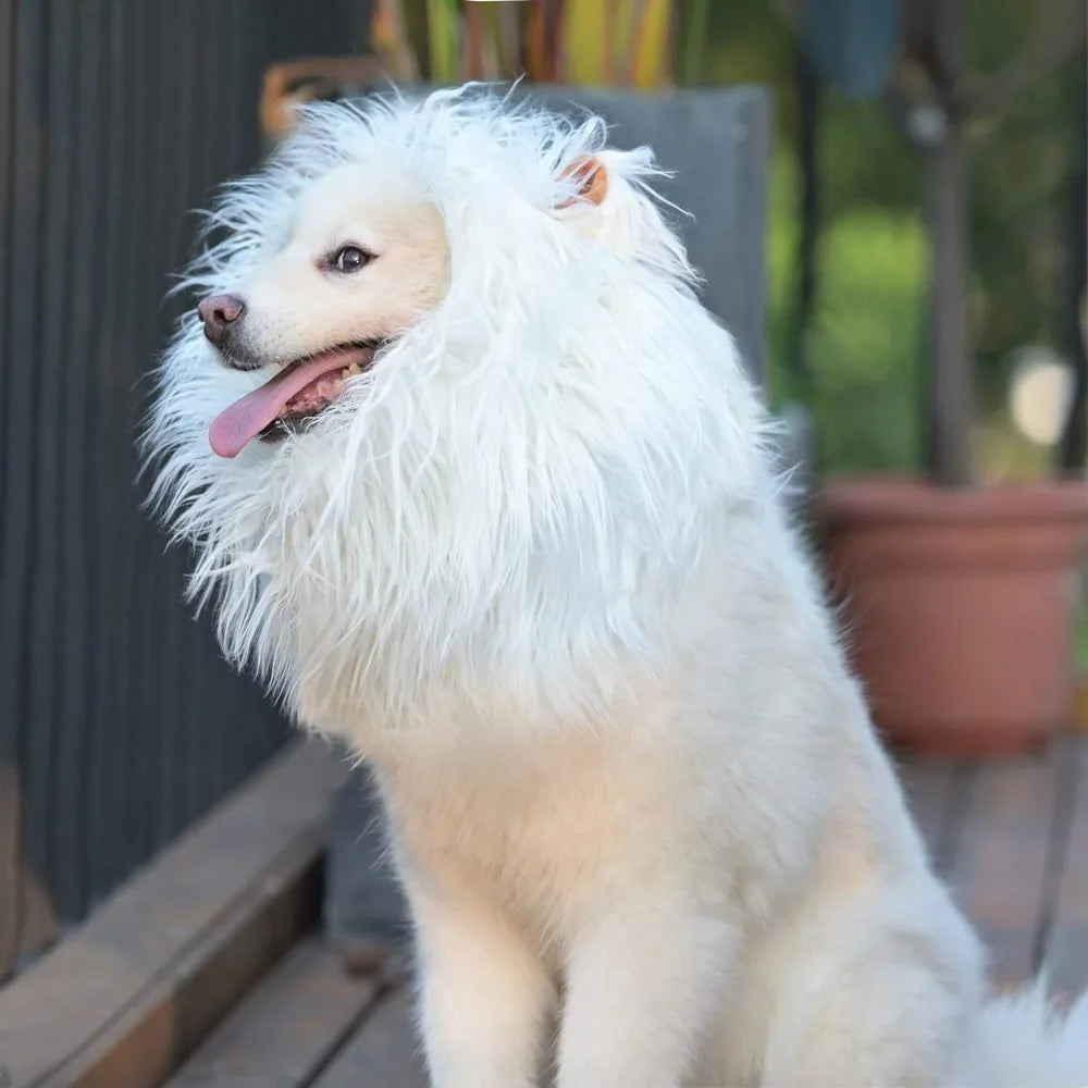 Onmygogo Lion Mane Wig For Dogs Halloween Christmas Costume