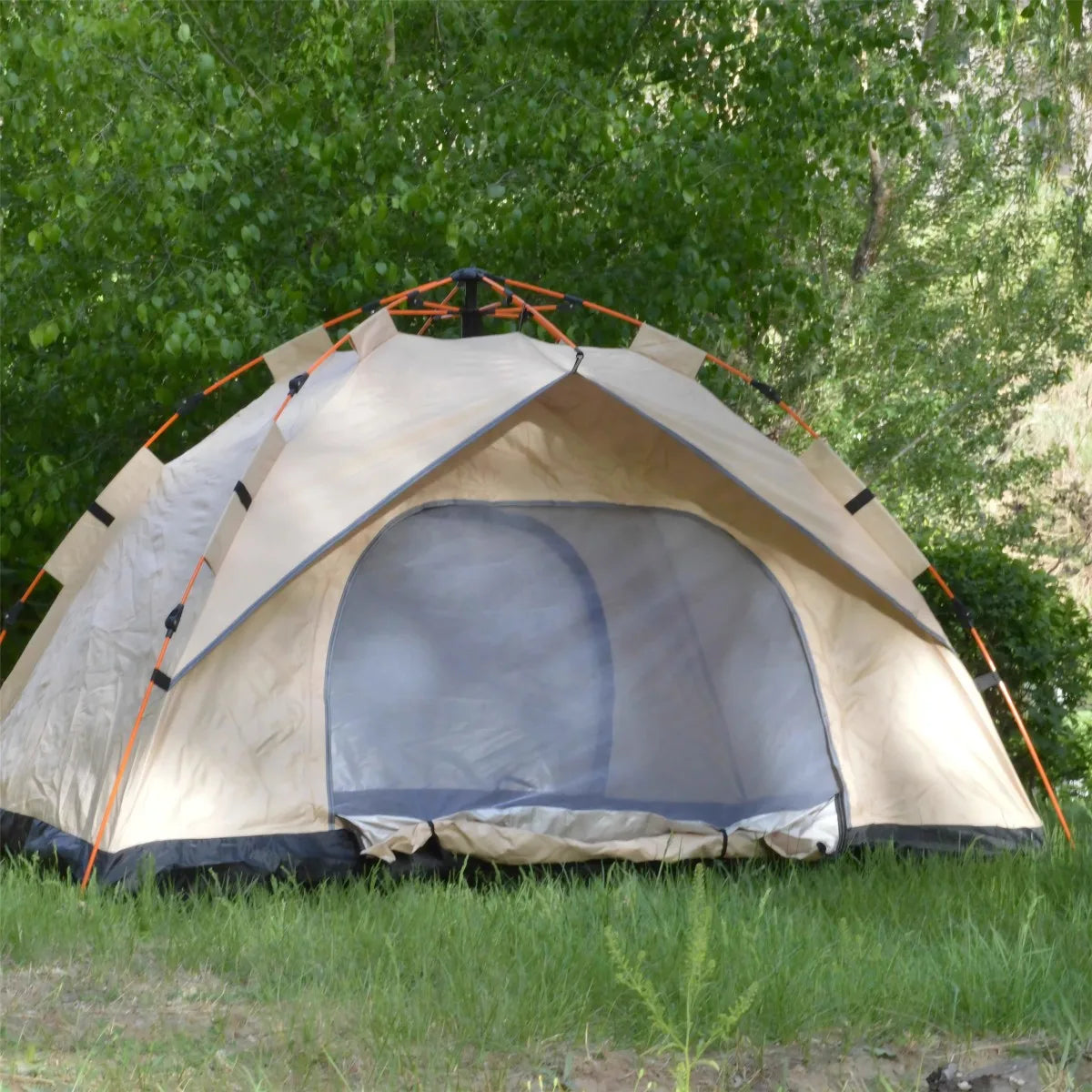 Pakicetus Outdoor Automatic Quick Opening Tent Rainproof Three To Four