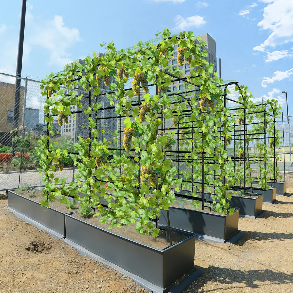 Wisfor U Shaped Metal Garden Plant Trellis For Climbing Vegetables