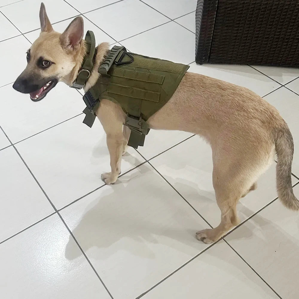 Nylon Dog Harness And Collar Set, Adjustable Tactical Vest For Outdoor Walking