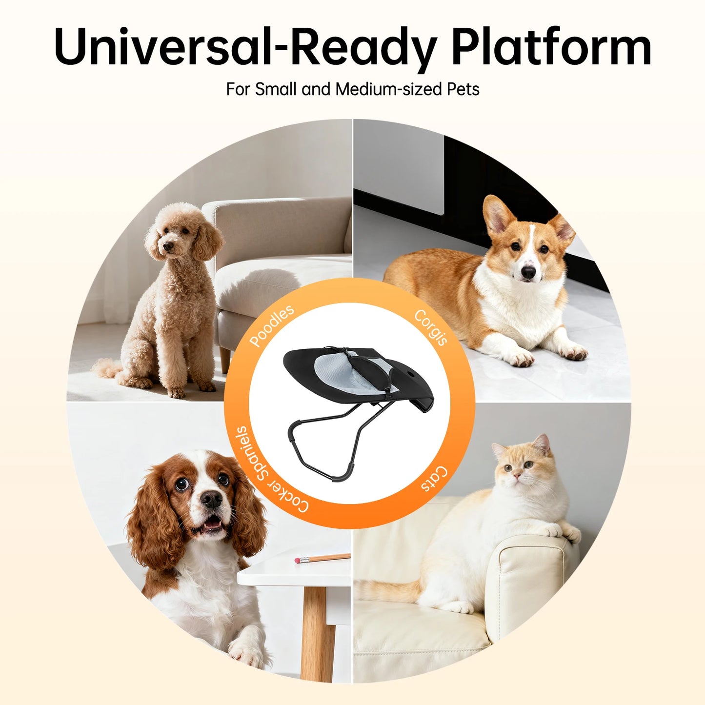 Pet Rocker Bed Foldable Rocking Chair for Small Dogs