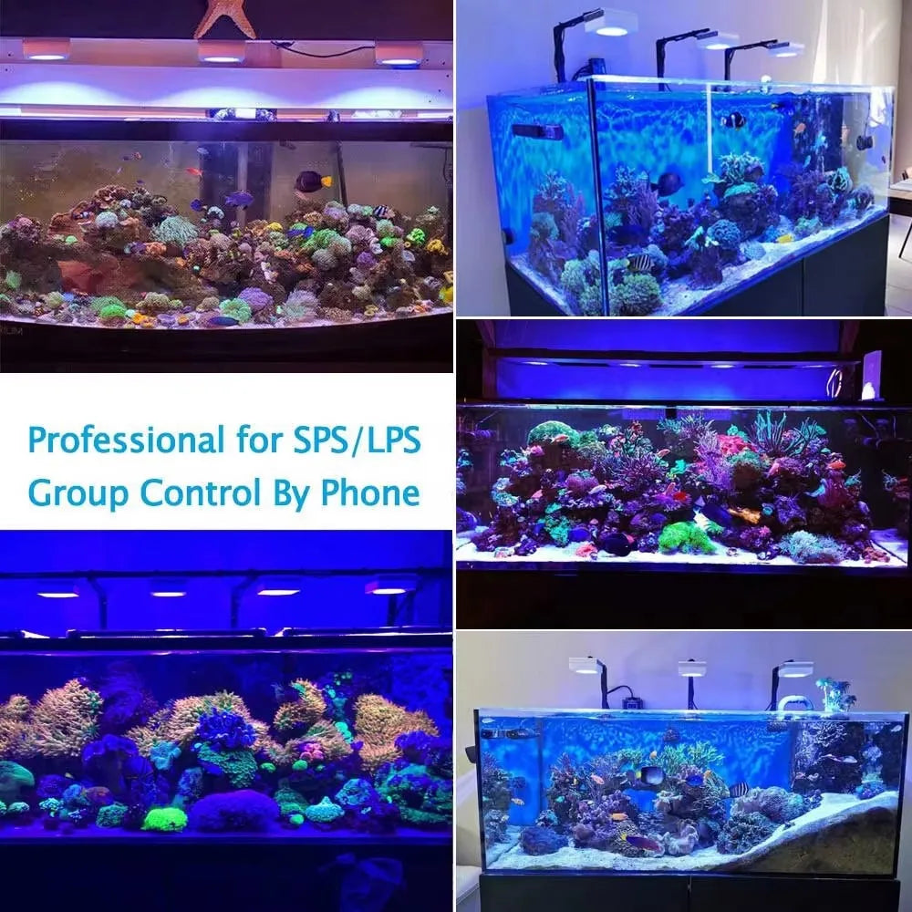 PopBloom RL90 WiFi LED Aquarium Light Full Spectrum Reef Lighting