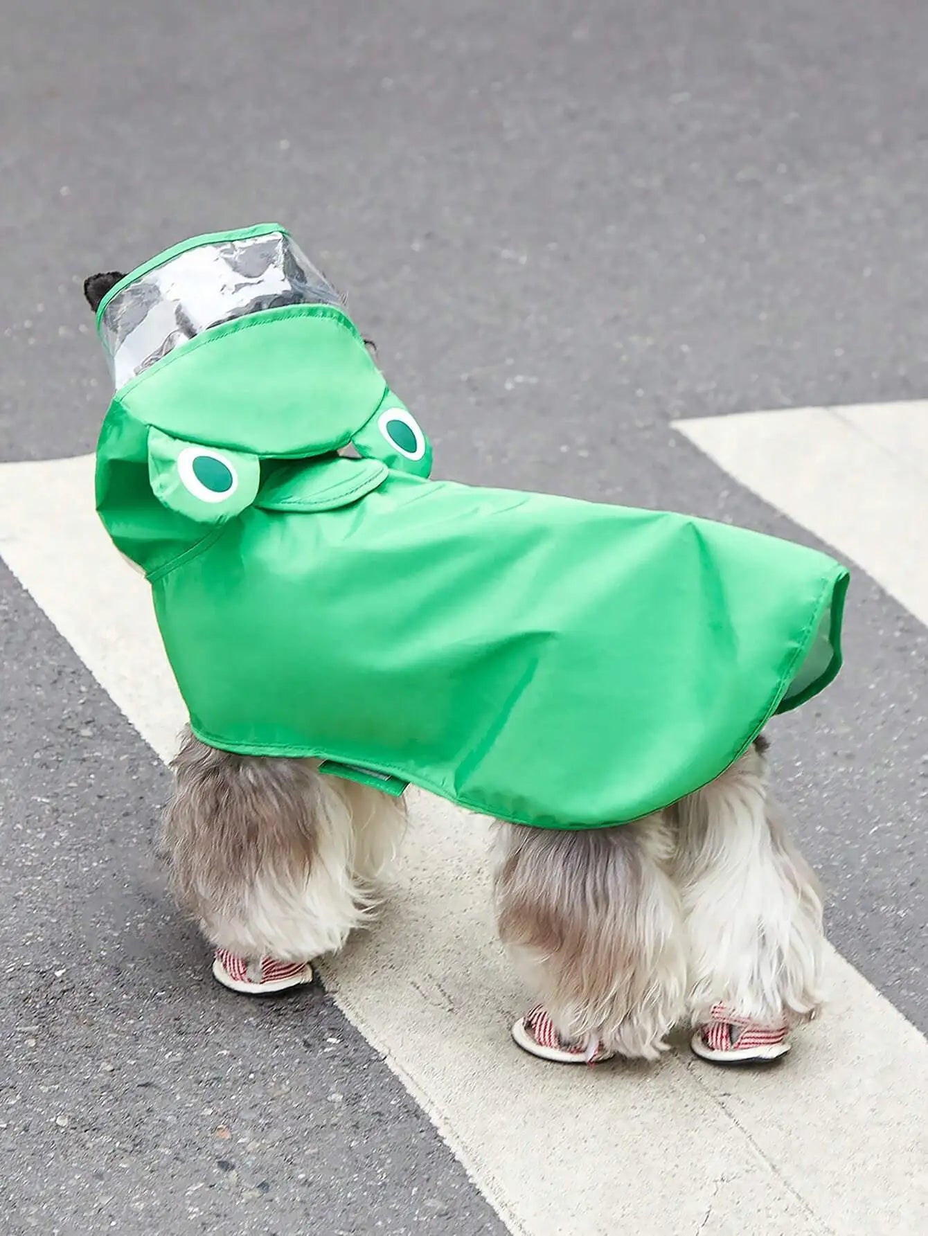 PETSIN Hooded Pet Raincoat Waterproof Cartoon Bear Design