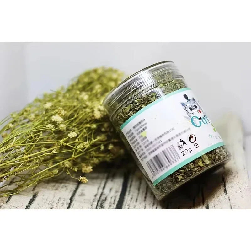 Organic Catnip Toy Set Natural Grass Mint Scent For Cats