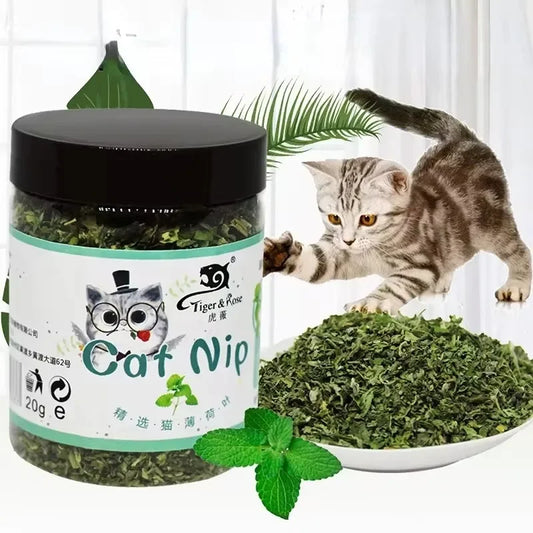 Organic Catnip Toy Set Natural Grass Mint Scent For Cats
