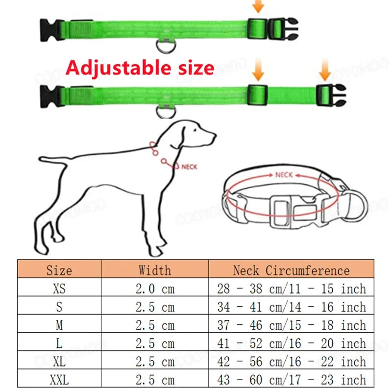 COOYOMOO 3 Mode USB LED Dog Collar With Night Glow