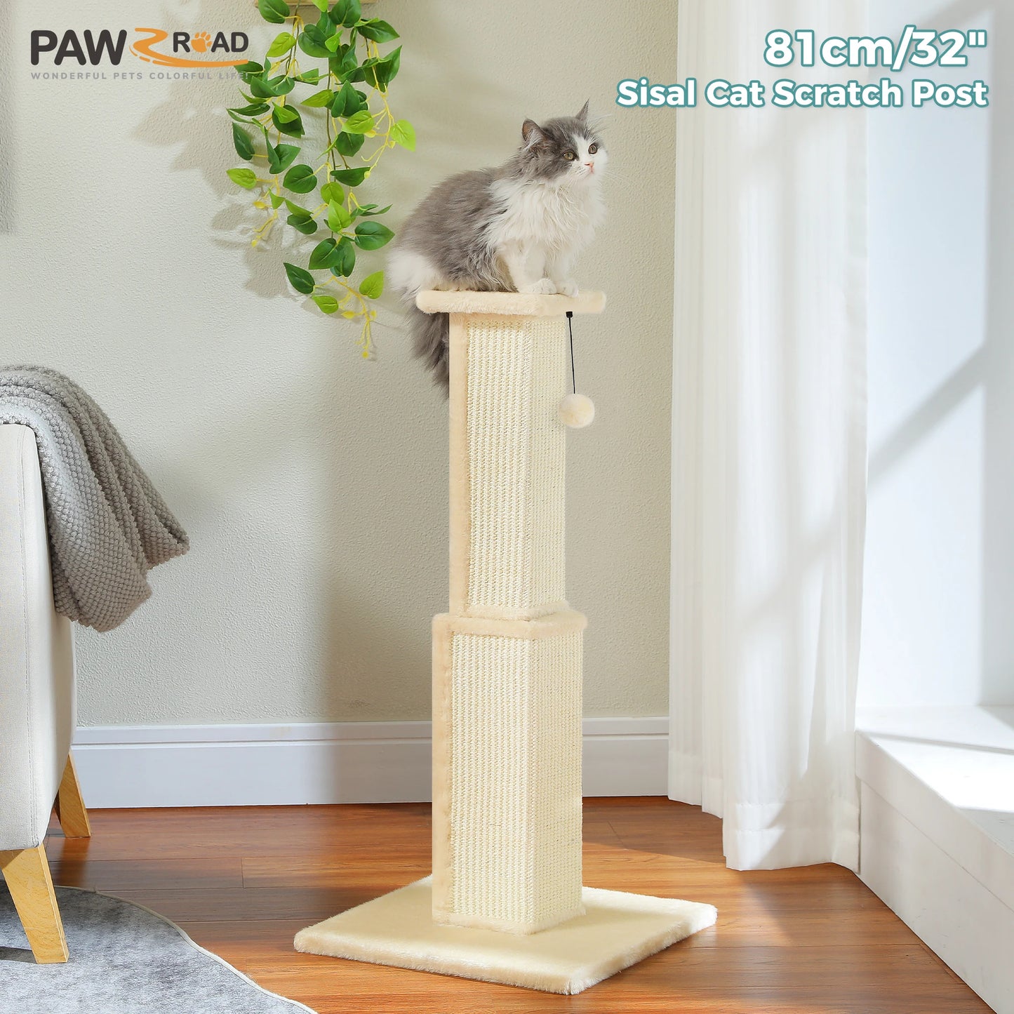 PAWZ Road Indoor Cat Scratching Post With Sisal Ball