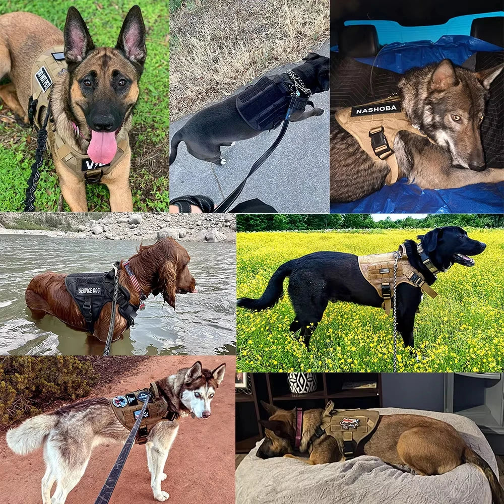 Military Large Dog Harness Vest Set For Malinois Training Accessories