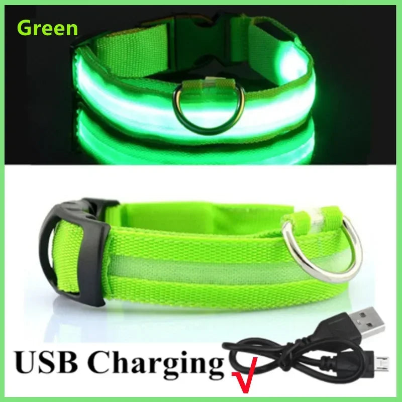 COOYOMOO 3 Mode USB LED Dog Collar With Night Glow