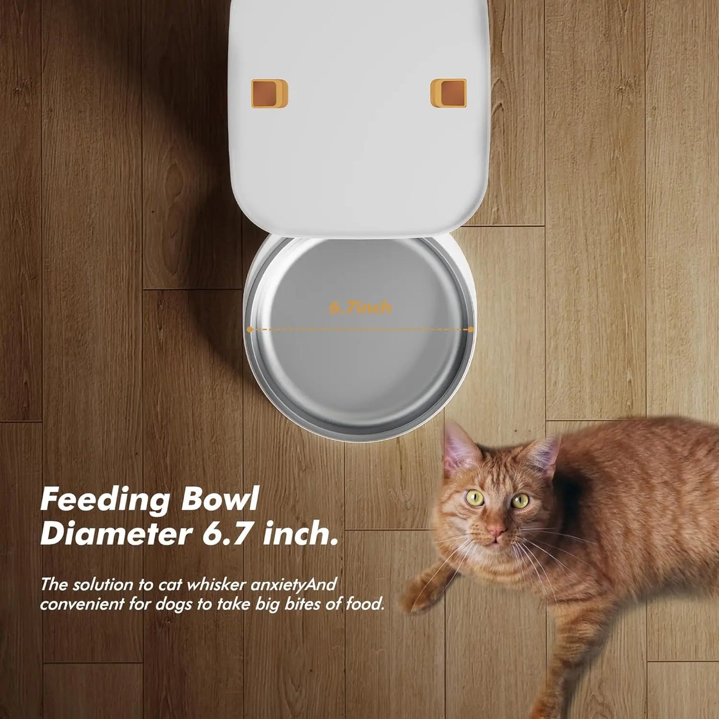 Automatic Pet Feeder With LCD Screen Timed Feeding 6 Meals