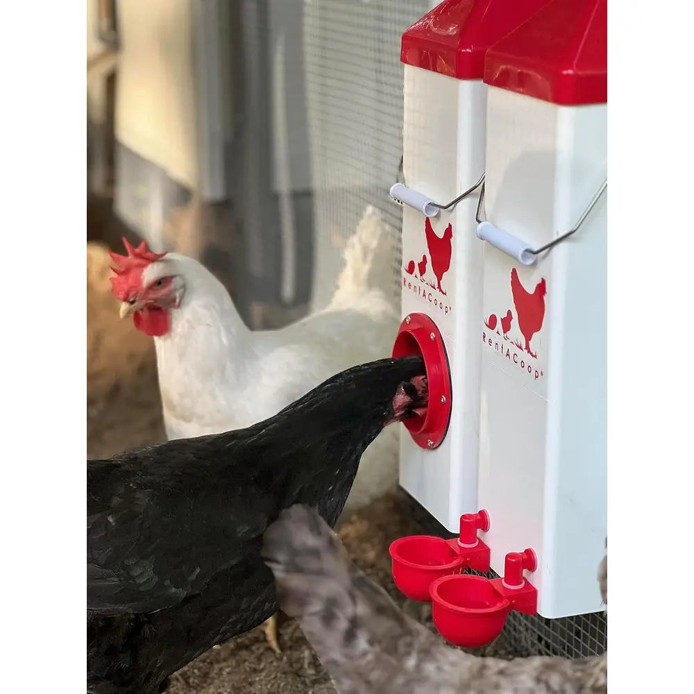 Twin Cup Chicken Waterer and Feeder Set for Coop Farms