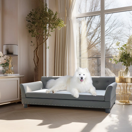 BINGOPAW Elevated Dog Bed With Removable Cushion