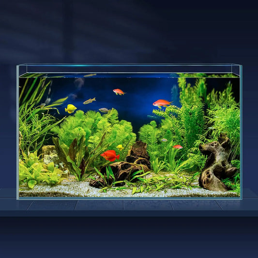 Ultra Clear Rimless Glass Betta Aquarium With Cover And Tools