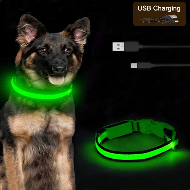 COOYOMOO 3 Mode USB LED Dog Collar With Night Glow