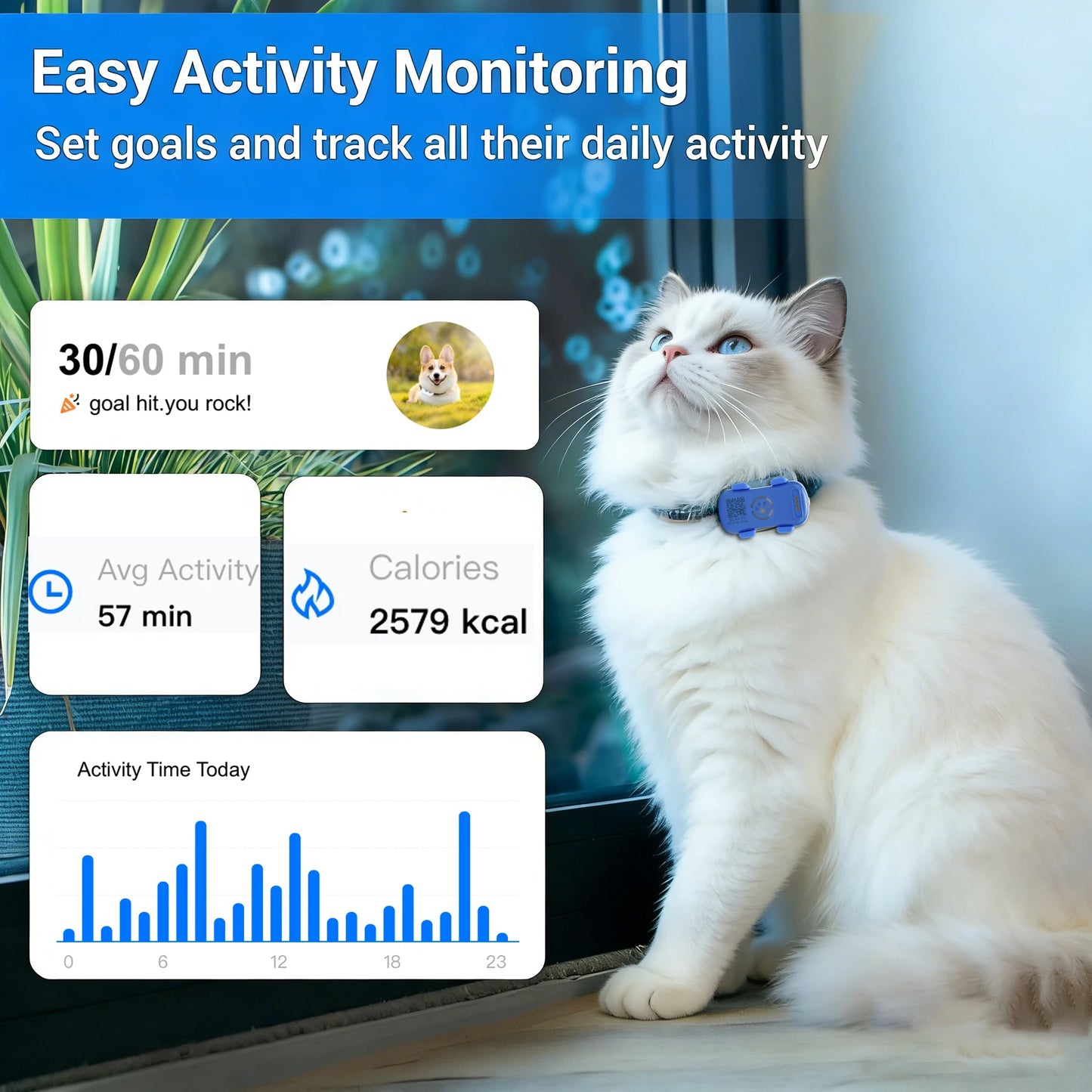 GPS Pet Tracker for Dogs and Cats Real Time Tracking