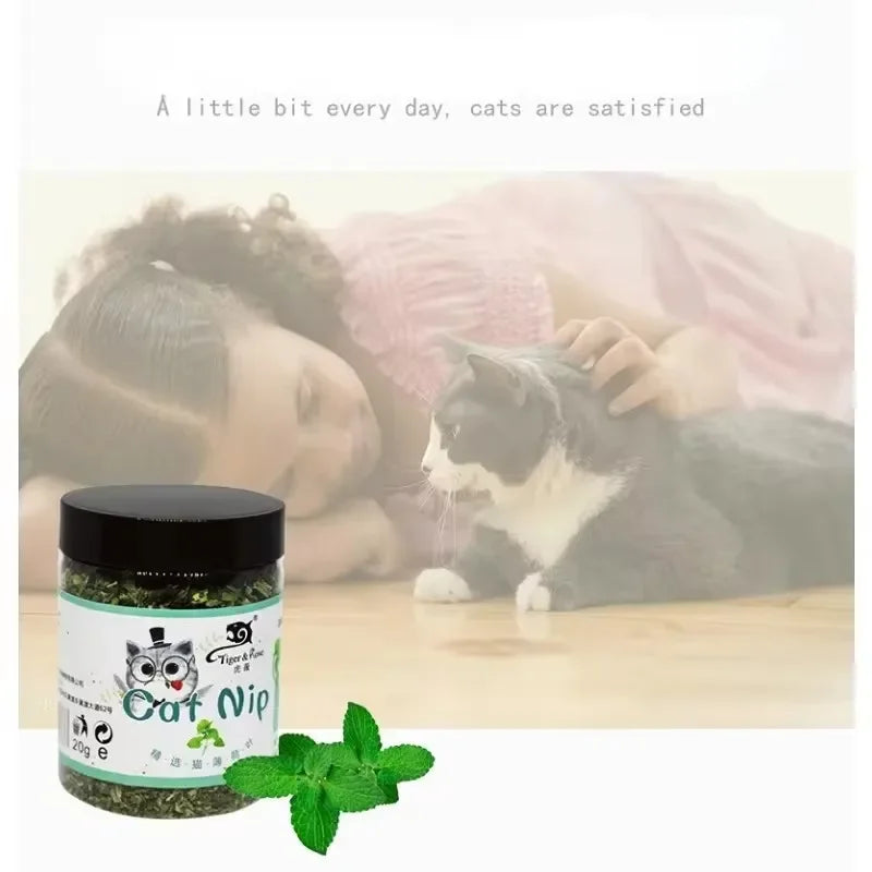 Organic Catnip Toy Set Natural Grass Mint Scent For Cats