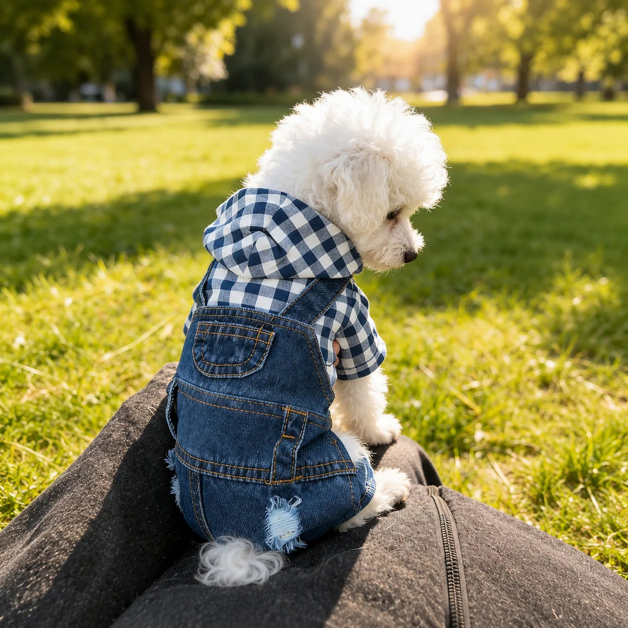 XMSJ Striped 4-Leg Denim Jumpsuit For Small Dogs Pet Apparel