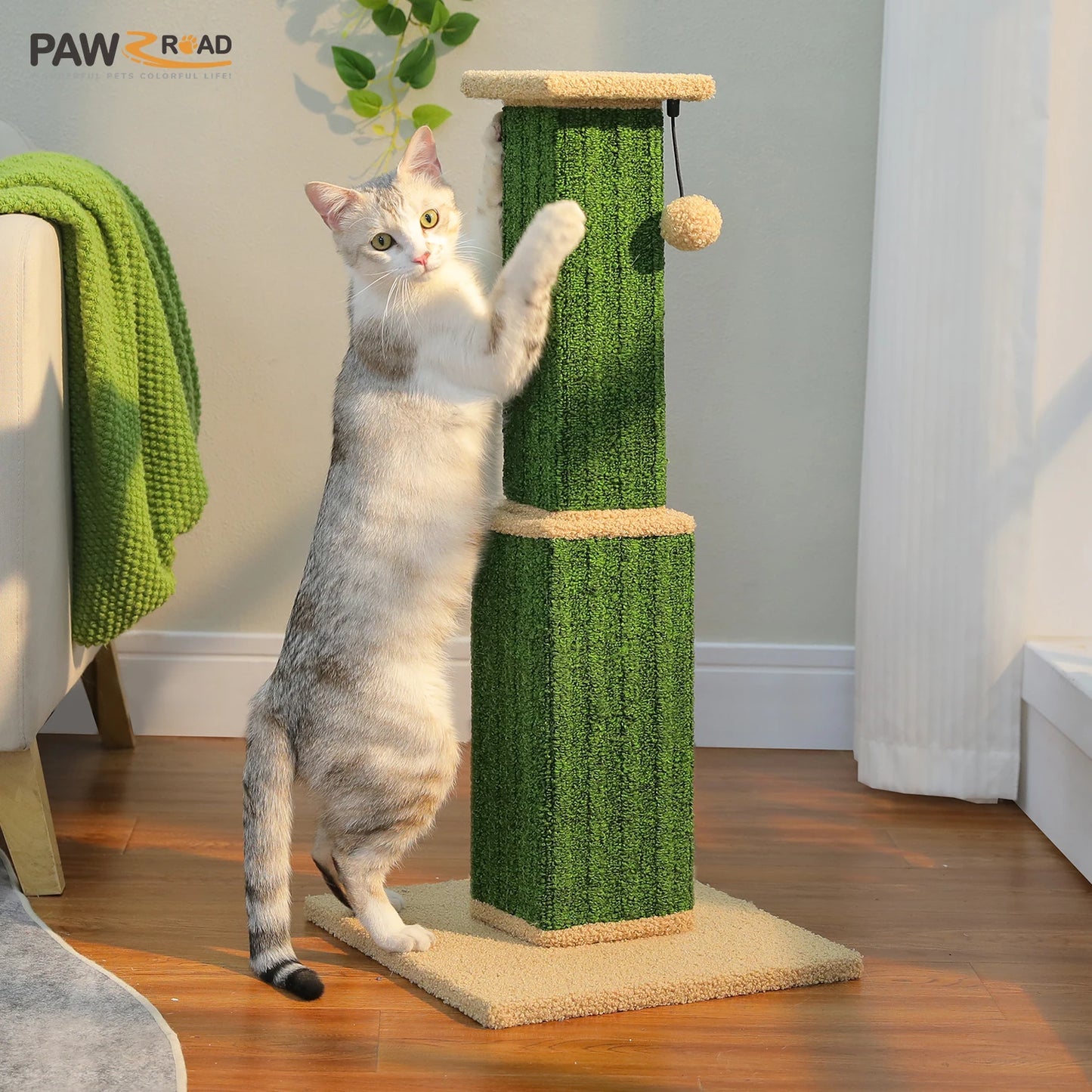 PAWZ Road Indoor Cat Scratching Post With Sisal Ball