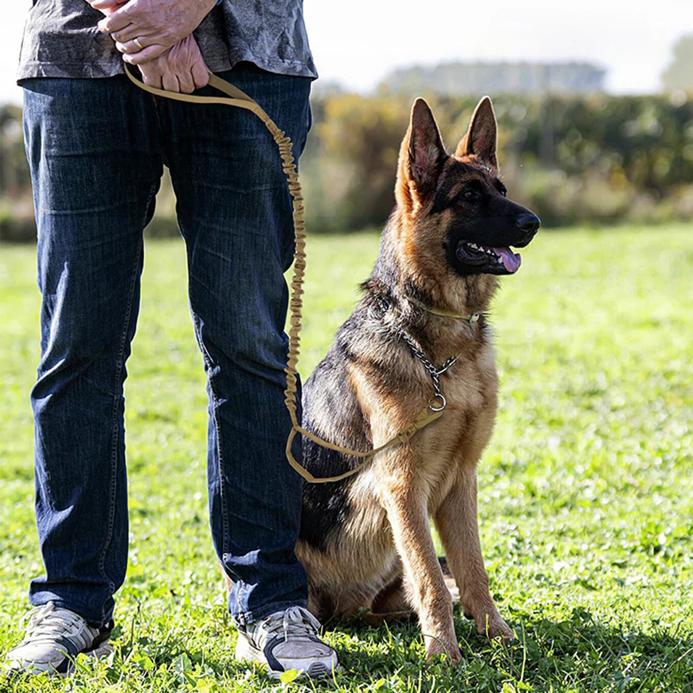 PETRAVEL Military Dog Leash With Quick Release Adjustable Elastic Rope